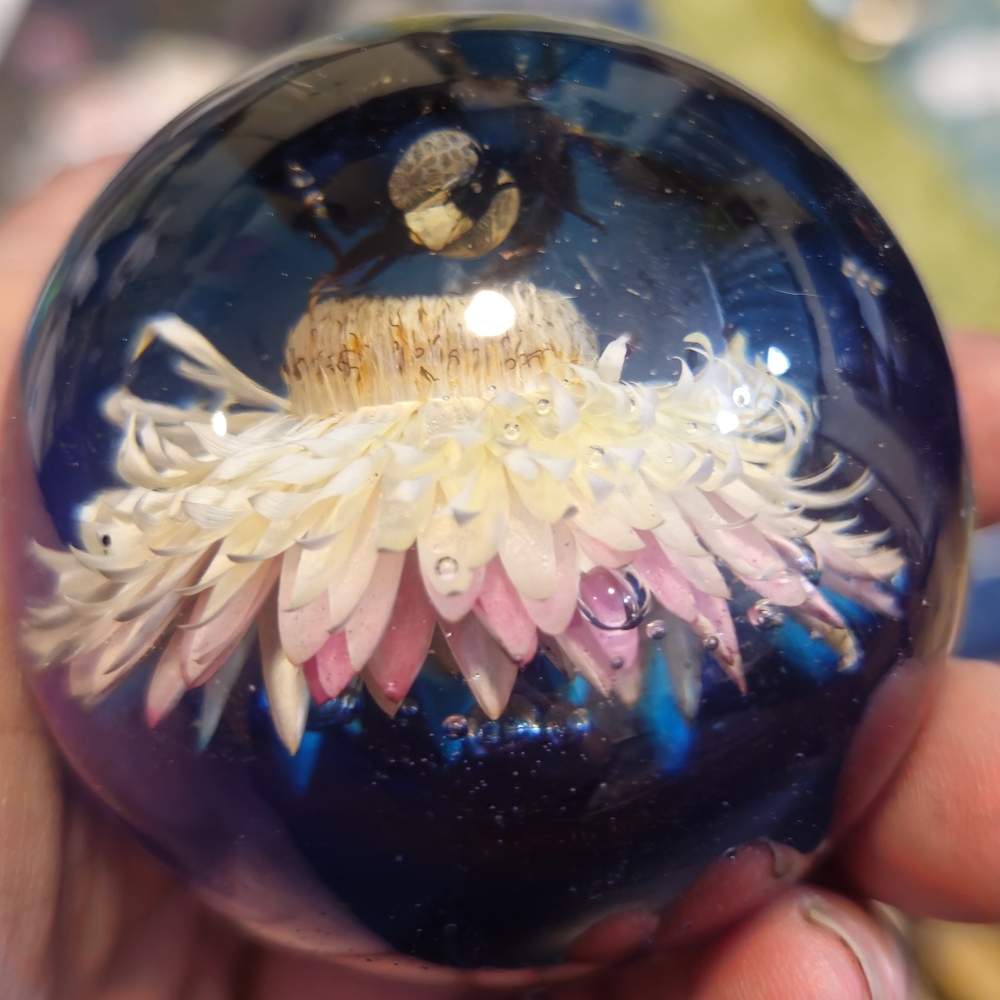 Handmade Real Bee and Flower Resin Paperweight Ethically Sourced Art New